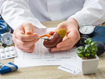 At doctors appointment physician shows to patient shape of kidney with focus on hand with organ. Scene explaining patient causes and localization of diseases of kidney, stones, adrenal, urinary system