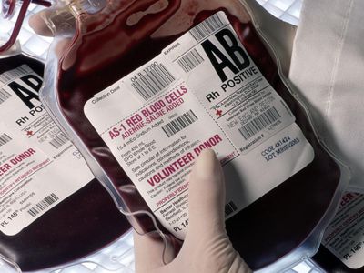 Human blood for transfusion in Boston