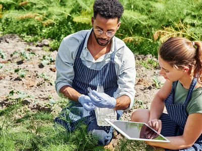 Man and woman in an agricultural field doing soil testing