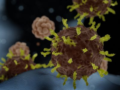 Coronavirus rendering