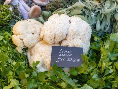 Lion's Mane Mushroom (Hericium erinaceus) at Borough Market in Southwark, London