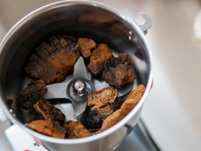 Chaga musrhoom in a spice grinder