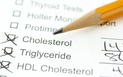 lab report for cholesterol with pencil