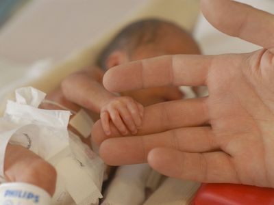 Premature baby holding NICU dad finger