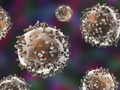 T and B Cells Play an Integral Role in Your Immune System 