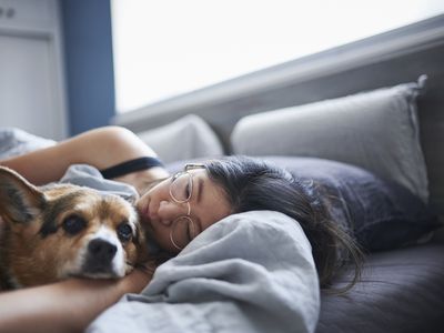 A woman lying in bed with a dog 