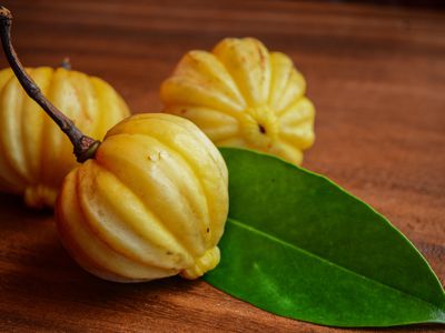 Garcinia gummi-gutta, Garcinia cambogia, as well as brindleberry, Malabar tamarind, and kudampuli or kudam puli